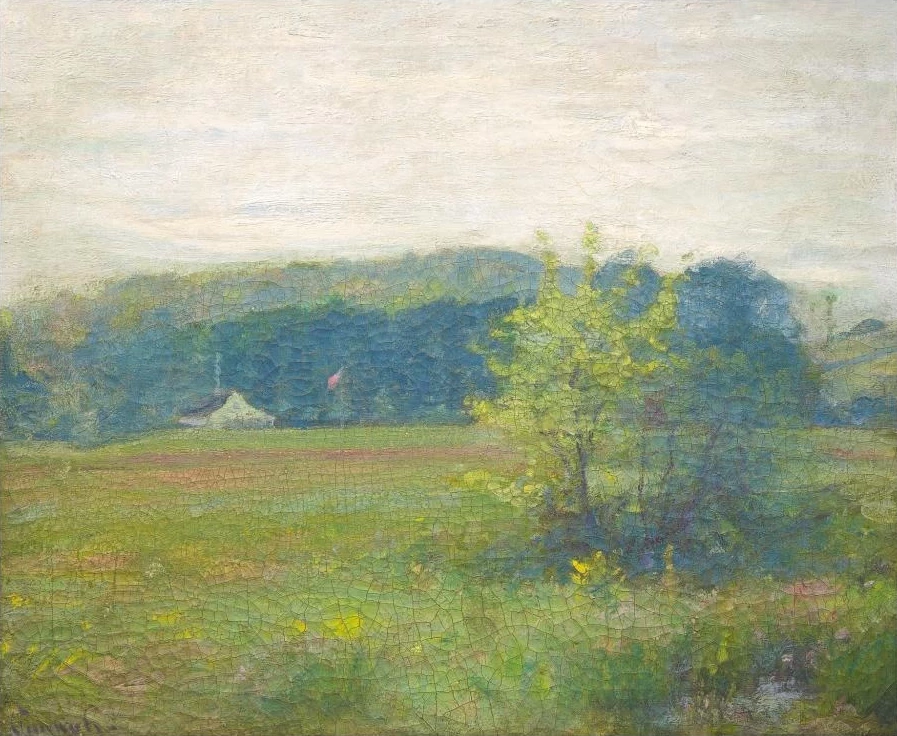 Prato in primavera